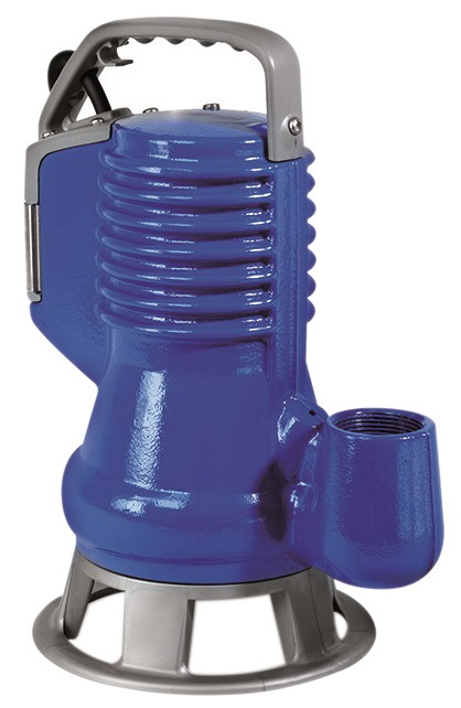 Yuzda otirgan mushukning jinsiy aloqa videosi